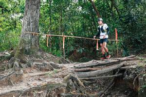 BIB: 
                            <button type="button" onclick="openModal(27803766)" class="btn btn-primary btn-sm float-right btn-popup" data-toggle="modal" data-target=".modal-high-quality">
                        <i class="fas fa-shopping-cart"></i> Add to Cart
                    </button>
                                            <button type="button" onclick="isThisMe(27803766, true)" class="btn btn-success btn-sm float-right btn-popup btn-isme hidden" data-toggle="tooltip" data-placement="bottom" title="นี่คือรูปของคุณใช่ไหม คลิกที่นี่เพื่อเอาเข้าอัลบั้ม">
                        <i class="fas fa-plus"></i> Add to album
                    </button>
                    <button type="button" onclick="isThisMe(27803766, false)" class="btn btn-warning btn-sm float-right btn-popup btn-isnotme hidden">
                        <i class="fas fa-ban"></i> Remove from album
                    </button>